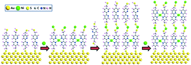Graphical abstract: Bottom-up fabrication of the multi-layer carbon metal nanosheets