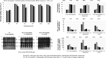 Graphical abstract: Influence of co-cultures of Streptococcus thermophilus and probiotic lactobacilli on quality and antioxidant capacity parameters of lactose-free fermented dairy beverages containing Syzygium cumini (L.) Skeels pulp