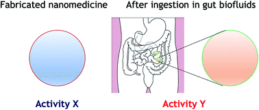 Graphical abstract: Nanoparticle modification in biological media: implications for oral nanomedicines