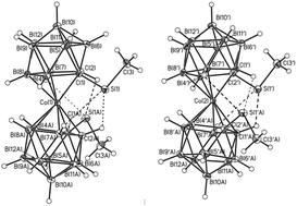 Graphical abstract: Synthesis and study of C-substituted methylthio derivatives of cobalt bis(dicarbollide)
