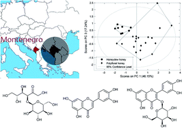 Graphical abstract: Physicochemical analysis and phenolic profile of polyfloral and honeydew honey from Montenegro