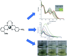Graphical abstract: A high-efficiency salamo-based copper(ii) complex double-channel fluorescent probe