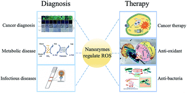 Graphical abstract: Nanozyme-based catalytic theranostics