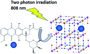 Graphical abstract: Synergic effect of doxorubicin release and two-photon irradiation of Mn2+-doped Prussian blue nanoparticles on cancer therapy