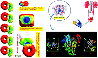 Graphical abstract: Ultra-low concentration protein detection based on phenylalanine–Pd/SWCNT as a high sensitivity nanoreceptor