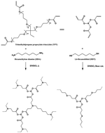 Graphical abstract: Synthesis and properties of porous polymers synthesized by Michael addition reactions of multi-functional acrylate, diamine, and dithiol compounds