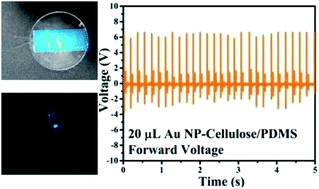 Graphical abstract: Gold nanoparticle–cellulose/PDMS nanocomposite: a flexible dielectric material for harvesting mechanical energy