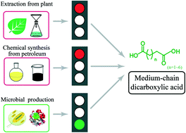 Graphical abstract: Advances in microbial production of medium-chain dicarboxylic acids for nylon materials