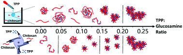 Graphical abstract: Ionically crosslinked polyelectrolyte nanoparticle formation mechanisms: the significance of mixing