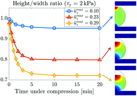 Graphical abstract: A three dimensional model of multicellular aggregate compression
