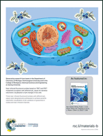 Graphical abstract: Back cover