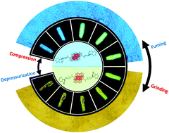 Graphical abstract: High-contrast luminescence dependent on polymorphism and mechanochromism of AIE-active (4-(phenothiazin-10-yl)phenyl)(pyren-1-yl)methanone