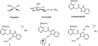 Graphical abstract: Ex vivo toxicological evaluation of experimental anticancer gold(i) complexes with lansoprazole-type ligands