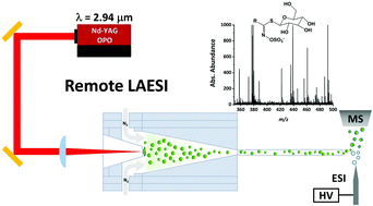 Graphical abstract: Remote ablation chamber for high efficiency particle transfer in laser ablation electrospray ionization mass spectrometry