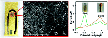Graphical abstract: Gold leaf electrochemical sensors: applications and nanostructure modification