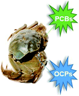 Graphical abstract: Determination of polychlorinated biphenyls and organochlorine pesticides in Chinese mitten crabs (Eriocheir sinensis) using modified QuEChERS followed by GC-MS