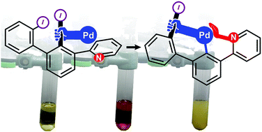 Graphical abstract: Synthetic access to a phosphorescent non-palindromic pincer complex of palladium by a double oxidative addition – comproportionation sequence