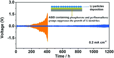 Graphical abstract: Phosphazene-derived stable and robust artificial SEI for protecting lithium anodes of Li–O2 batteries