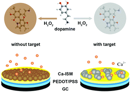 Graphical abstract: Chronopotentiometric aptasensing with signal amplification based on enzyme-catalyzed surface polymerization