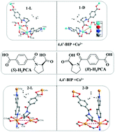 Graphical abstract: Semi-conductive helical homochiral metal–organic frameworks based on enantiomeric proline derivatives
