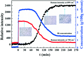 Graphical abstract: Optimizing the morphology of calcium d-pantothenate by controlling phase transformation processes