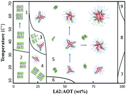 Graphical abstract: Complexation of Pluronic L62 (EO6)–(PO34)–(EO6)/aerosol-OT (sodium bis(2-ethylhexyl)sulfosuccinate) in aqueous solutions investigated by small angle neutron scattering