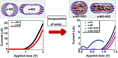 Graphical abstract: BAs nanotubes with non-circular cross section shapes for gas sensors