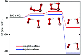 Graphical abstract: Reply to the ‘comment on “impact of water on the BrO + HO2 gas-phase reaction: mechanism, kinetics and products”’ by R. Chow, D. K. W. Mok, E. P. F. Lee and J. M. Dyke, Phys. Chem. Chem. Phys., 2021, 23, DOI: 10.1039/D0CP00222D