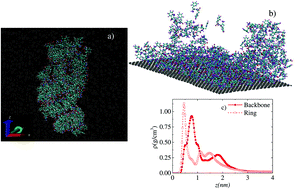 Graphical abstract: Self-assembly of diphenylalanine peptides on graphene via detailed atomistic simulations
