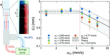 Graphical abstract: Oscillatory budding dynamics of a chemical garden within a co-flow of reactants
