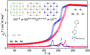 Graphical abstract: Temperature-dependent hysteretic two-step spin crossover in two-dimensional Hofmann-type compounds