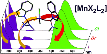 Graphical abstract: Light harvesting indolyl-substituted phosphoramide ligand for the enhancement of Mn(ii) luminescence