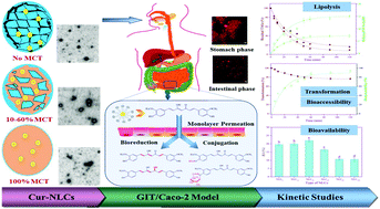 Graphical abstract: The influence of oil composition on the transformation, bioaccessibility, and intestinal absorption of curcumin in nanostructured lipid carriers