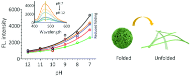 Graphical abstract: Fabrication of hydrophilic composites by bridging the secondary structures between rice proteins and pea proteins toward enhanced nutritional properties
