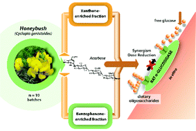 Graphical abstract: In vitro α-glucosidase inhibition by honeybush (Cyclopia genistoides) food ingredient extract—potential for dose reduction of acarbose through synergism