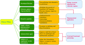 Graphical abstract: Technical integrative approaches to cheese whey valorization towards sustainable environment