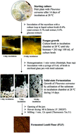 Graphical abstract: Enhancing the nutritional profile and digestibility of lentil flour by solid state fermentation with Pleurotus ostreatus