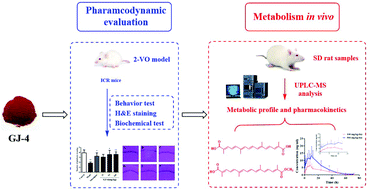 Graphical abstract: Antidementia effects, metabolic profiles and pharmacokinetics of GJ-4, a crocin-rich botanical candidate from Gardeniae fructus