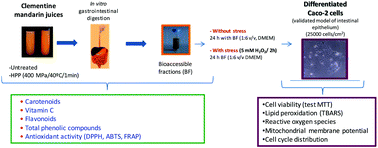 Graphical abstract: Impact of high-pressure processing on the stability and bioaccessibility of bioactive compounds in Clementine mandarin juice and its cytoprotective effect on Caco-2 cells