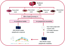 Graphical abstract: Thermal and non-thermal processing of red-fleshed apple: how are (poly)phenol composition and bioavailability affected?