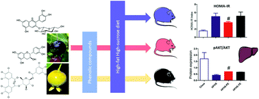 Graphical abstract: Purple grumixama anthocyanins (Eugenia brasiliensis Lam.) attenuate obesity and insulin resistance in high-fat diet mice
