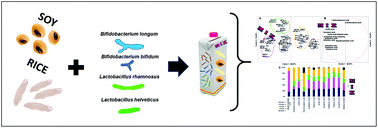 Graphical abstract: Volatilome changes during probiotic fermentation of combined soy and rice drinks