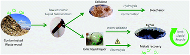 Graphical abstract: Towards an environmentally and economically sustainable biorefinery: heavy metal contaminated waste wood as a low-cost feedstock in a low-cost ionic liquid process
