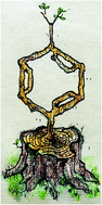 Graphical abstract: p-Xylene from 2,5-dimethylfuran and acrylic acid using zeolite in a continuous flow system