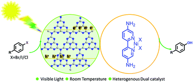 Graphical abstract: Visible light-catalytic hydroxylation of aryl halides with water to phenols by carbon nitride and nickel complex cooperative catalysis