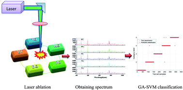 Graphical abstract: A modified genetic algorithm optimized SVM for rapid classification of tea leaves using laser-induced breakdown spectroscopy