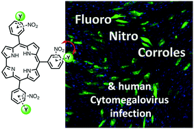 Graphical abstract: A3- and A2B-nitrocorroles: synthesis and antiviral activity evaluation against human cytomegalovirus infection