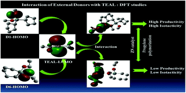 Graphical abstract: Control of Ziegler–Natta catalyst activity by the structural design of alkoxysilane-based external donors