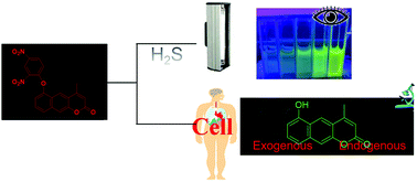 Graphical abstract: A photostable fluorescent probe based on PET off for the detection of hydrogen sulfide and its application in bioimaging