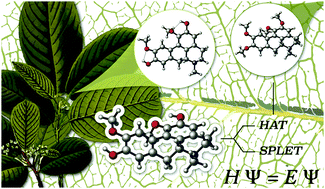 Graphical abstract: Structure–antioxidant activity relationships in boldine and glaucine: a DFT study